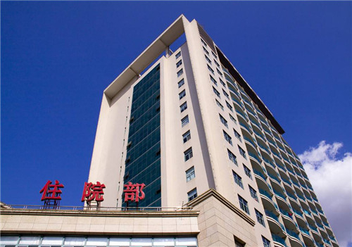 应用案例